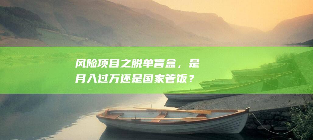 風險項目之脫單盲盒，是月入過萬還是國家管飯？