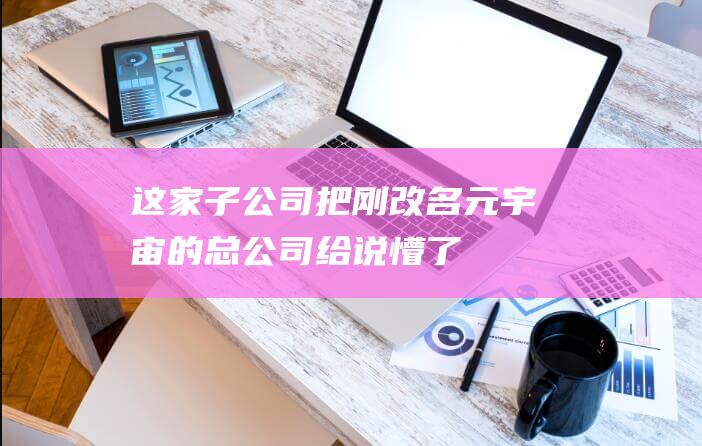 這家子公司把剛改名元宇宙的總公司給說懵了